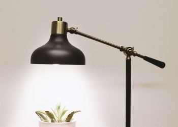 pexels-photo-1112598